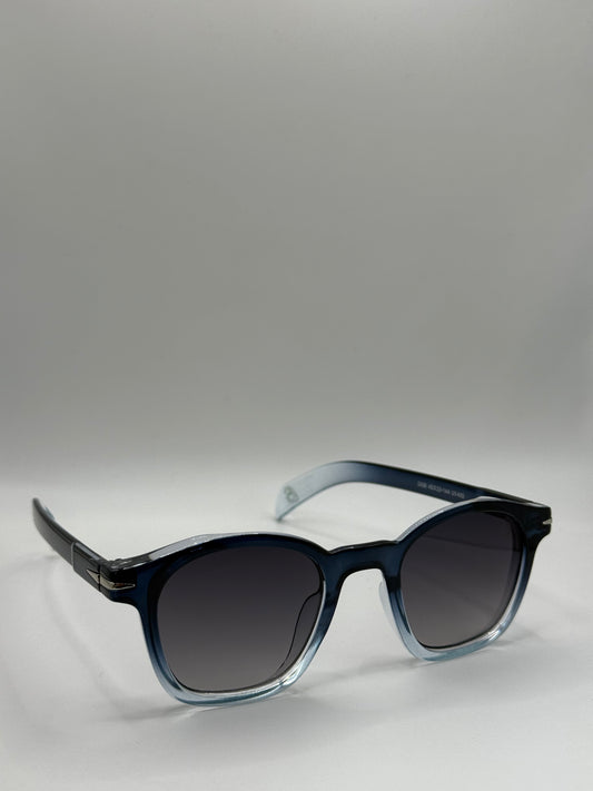 David Beckham 2439