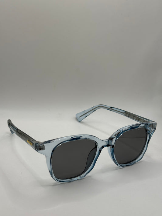 Moscot polarised 2526